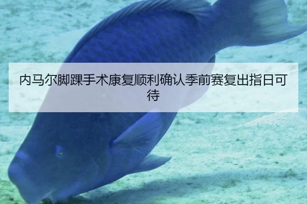 nei-ma-er-jiao-huai-shou-shu-kang-fu-shun-li-que-ren-ji-qian-sai-fu-chu-zhi-ri-ke-dai-2-330.jpg